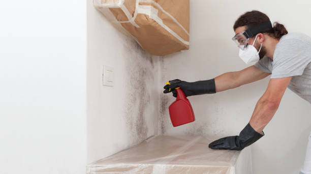 Professional Bathroom Mold Removal technician working in Ashland, NJ